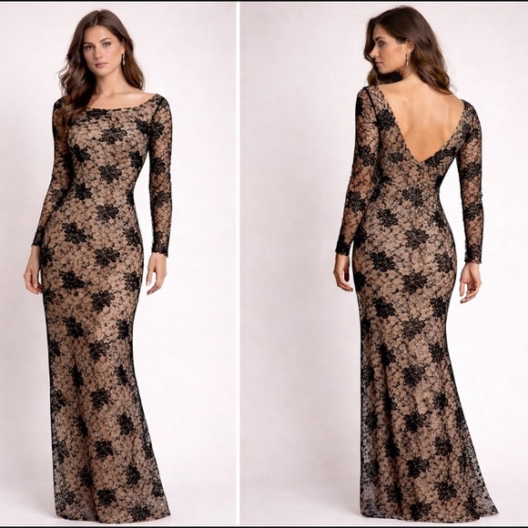 JS Collections Dresses & Skirts - JS collections long sleeves panel lace illusion aline long Gown
